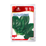 팜한농 열정시금치 씨앗 30g : 가야종합자재-