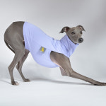 막스플레이 UV ATB 하이넥민소매 티셔츠 라벤더 자외선차단 이탈리안그레이하운드 아이쥐옷 : MARX PLAY