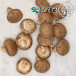 [공룡나라]고성 웅이표고농장 생표고버섯(생표고/상품1kg) : 맘스킹