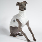 막스플레이 UV ATB 하이넥민소매티셔츠 아이보리 자외선차단 이탈리안그레이하운드 아이쥐옷 : MARX PLAY