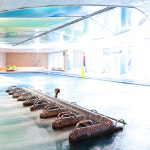 (문자발송) 델피노 오션플레이 (설악 워터파크 아쿠아월드) 소노캄 소노문 소인권기준 : couponshop