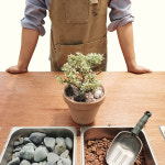 [전문가드너] 분갈이 식재 서비스 대성식물 : 대성식물