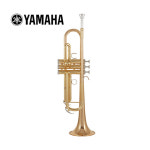 야마하 트럼펫 ytr4335Gll ytr-4335Gll 골드 방과후 입문용 학생용 YAMAHA trumpet : 진성뮤직 마곡점