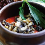 [국내산 전남 신안산] 자숙 논우렁살 250g/600g/700g 10봉 손질 논우렁이 우렁살 업소용 대용량 우렁쌈밥 우렁된장 웰컴킹 : 먹는풍경