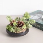 스칸디아모스 공기정화식물 센터피스 솔방울 옹기 수반 set 12cm 인테리어 천연 이끼 장식 소품 테이블 : 플라워트리