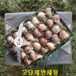 [좀 더 귀한 분께] 곡성 친환경 참송이버섯 선물세트-표준형 : 송화버섯 옥과농원몰