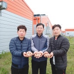 [좀 더 귀한 분께] 곡성 친환경 참송이버섯 선물세트-표준형 : 송화버섯 옥과농원몰