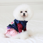 퍼피짱 해랑배자 왕자 4종 (S/M/L/XL) [강아지 한복] : 엔젤룩스