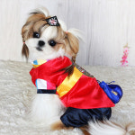 퍼피짱 도령배자 4종 (S/M/L/XL) [강아지 한복] : 엔젤룩스