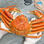 [13시 이전 구매 시 당일 발송] 수율 80%이상 직수입 러시아 활 대게 1마리 스노우크랩 갑각류 활대게 700g, 1개 : 도리마켓-