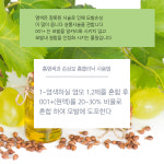 전문가 개발 셀프헤어클리닉 관리 이지후 모발화장품 극손상용 세트 : 주식회사이지후그린과학