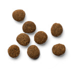 요라 캣 1.5kg 동애등에 단일단백질 62.5%(수입완포장) : YORA