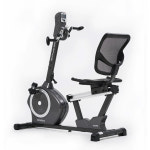 좌식 재활 자전거 KR-3 3종 가정용 실내자전거 좌식사이클 노인 헬스 하체근력 : 대호스포츠