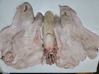 국내산 한우 소머리 도매직판 : 하누소곱