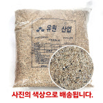 SM 산호사 [5mm] : 상아쿠아 스토어