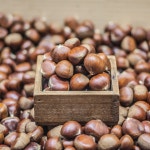 청년상회 약단밤 생율밤 1kg : 청년상회몰
