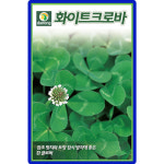 다농 화이트크로바 씨앗 20g 흰 클러버씨 잡초방지 토끼풀 종자 : 양동씨앗마켓