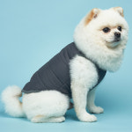 스퀘어패딩 강아지 애견겨울옷 2XL : 도그아이