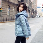 애니율 여성 겨울 패션 후드 숏 패딩 점퍼 G2314 : 애니율