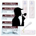 고려 은단 홍삼은단 분말 약국 환 : 컬러포