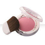 프로랑스 메이크업 블러셔 : 주식회사 아이스킨