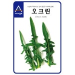 상추씨앗 청오크-오크린(1500립) 채소씨앗  종자 텃밭가꾸기 : 7 Gardeners