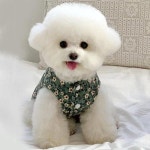 반려견 패딩 애견 강아지 겨울 조끼 반려동물 빈티지 코듀로이 꽃무늬 할매 김장 댕댕이 : 챔코