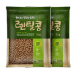 갈색 렌틸콩 4kg 레드 블랙 렌즈콩 모음 : 주식회사 현대농산