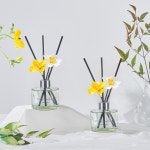 [1+1] 코코도르 봄꽃 수선화 DIY 디퓨저 120ml 2개 (+쇼핑백 증정) 블랙체리 : 코코도르