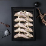 [모슬포에프앤비](신세계 사우스시티)[산지직송] 영광 법성포굴비 5호(1.3kg/10미/22~23cm) : 신세계백화점