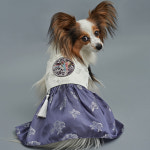 강아지한복 애견옷 반려견의류 고양이 추석 금화단 퍼플그레이 S : 도그아이