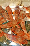 [죽도시장] 당일 조업 동해안 제철 순살 성대회 달갱이 1kg 야채 초고추장 세트 : 팜이안