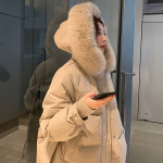 앤버드 폭스 롱 다운 점퍼 : LIBLIKE