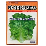 아삭이생채 상추씨앗 종자 3000립 오스템 : 씨앗의모든것