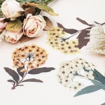 드라이 플라워 스티커 E 꽃스티커 PET 방수 인테리어 장식 꾸미기 스티커 : 해피수수