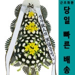 강원 강릉아나병원 화환 : 전국화환