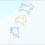 델리 팬시 페이퍼 클립 세트 코스트코 : 마켓n송지