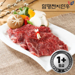 [함평축협] 함평천지한우 채끝 600g(1+등급) : 푸른들 마켓