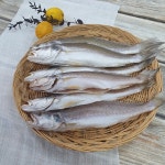 반건조 민어조기 3마리 손질생선 제수용 반찬용 : 생선대장