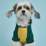 나그랑티셔츠 옐로우 S 강아지옷 애견의류 : 도그아이