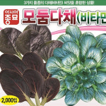 다채종자 씨앗 모둠다채 2000립 : Gin