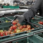 그리파즈 작업 내화학 내유 공업용고무장갑 니트릴 정비 세차 원예장갑 7.8g 오렌지 50매 : 마미프라임