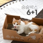 61CM 키워보리 숨숨박스 마약박스 국내제작 강아지 고양이 반려동물 : 독한캣