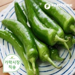 가락시장직송 청양고추 500g : 팸쿡
