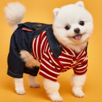 보들보들 순면올인원 XL 강아지옷 멜빵 애견의류 : 도그아이