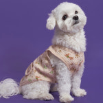 강아지옷 네츄럴코튼조끼 애견티셔츠 실내복의류 : 도그아이