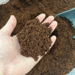 달팽이 흙 코코피트 2L : 안녕달팽이스토어