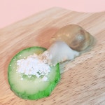 달팽이 칼슘 난각가루 60g : 안녕달팽이스토어