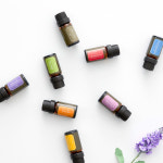 1+1 알레 비건 아로마 에센셜 오일 시트로넬라 유칼립투스 천연 숙면 수면 양모볼 반신욕 : 알레아로마