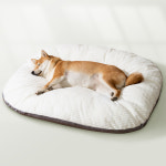 애견 강아지 마약 방석 고양이 쿠션 담요 이불 LUAZ-DG6 : 코시모르테